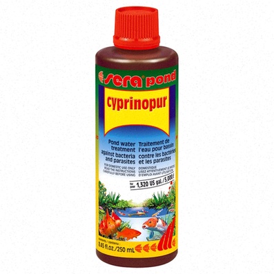 Cyprohep Generikum